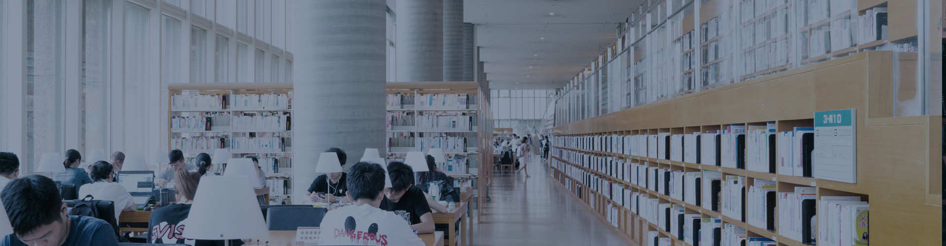 NLC电子(中国)集团