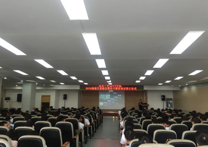 NLC电子(中国)集团