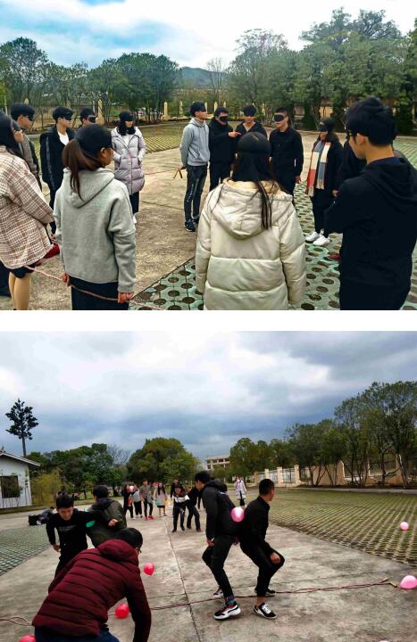 NLC电子(中国)集团
