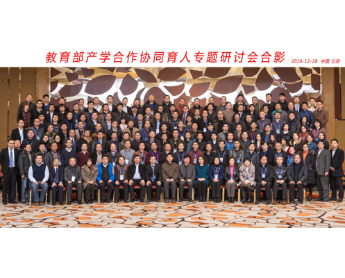 NLC电子(中国)集团