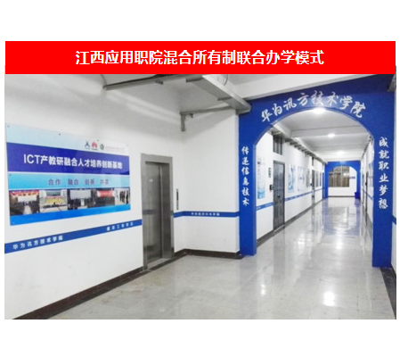 NLC电子(中国)集团