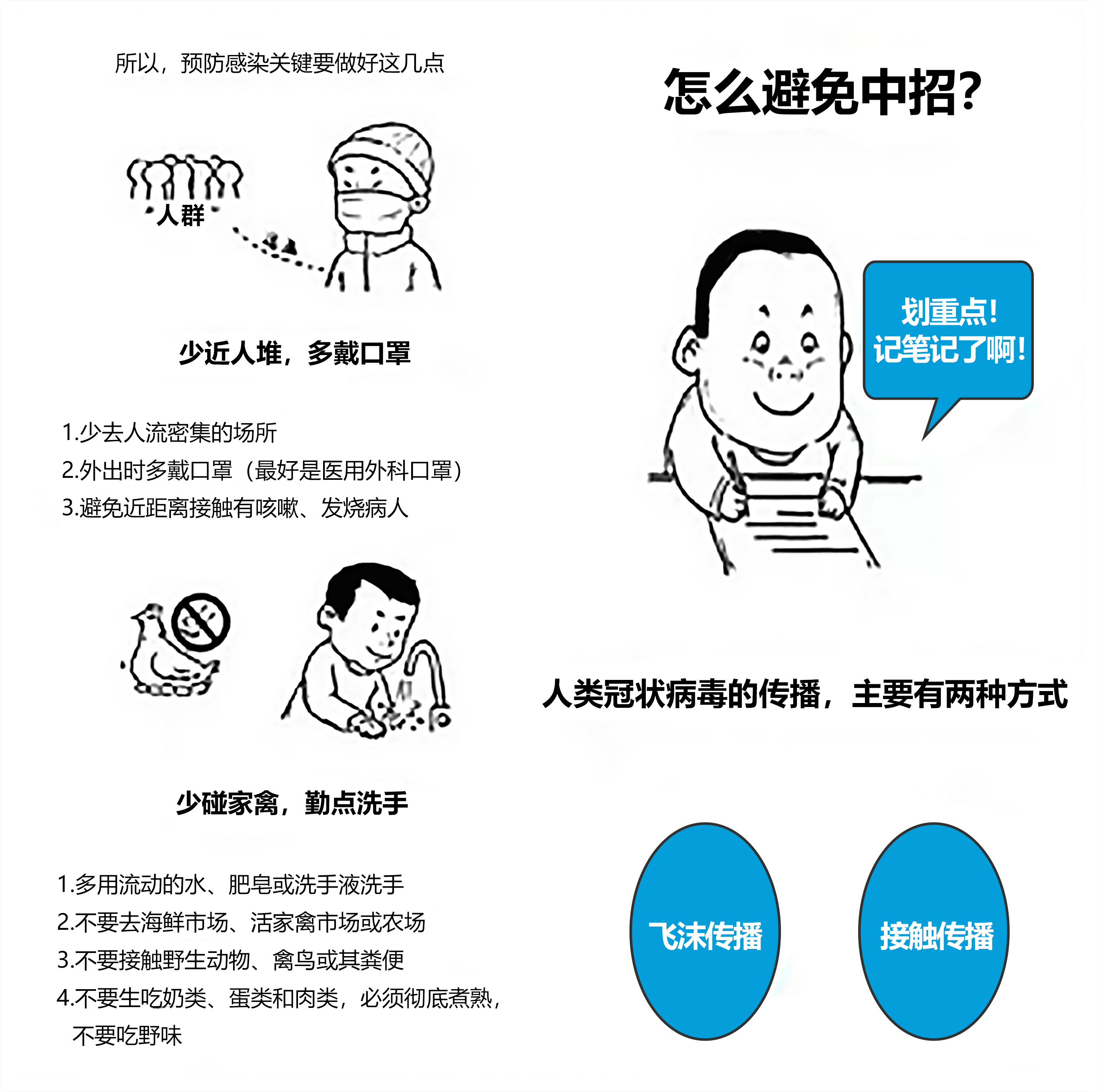 NLC电子(中国)集团