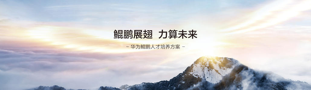 NLC电子(中国)集团