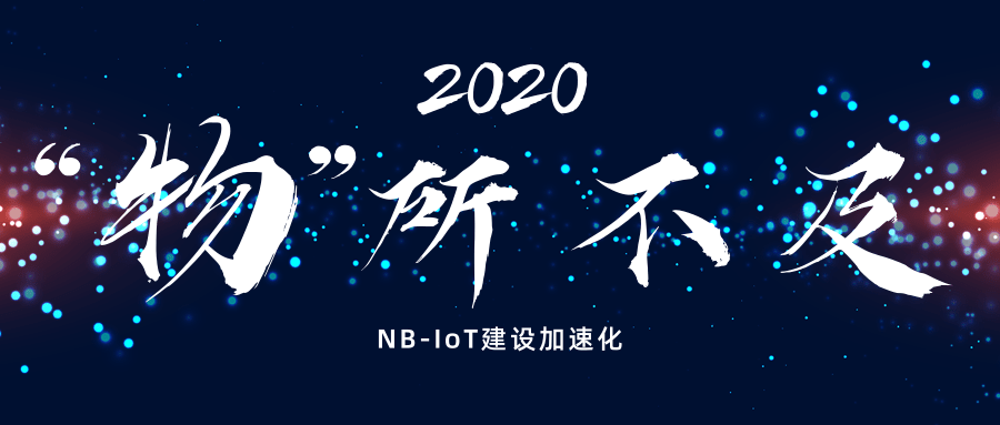 NLC电子(中国)集团
