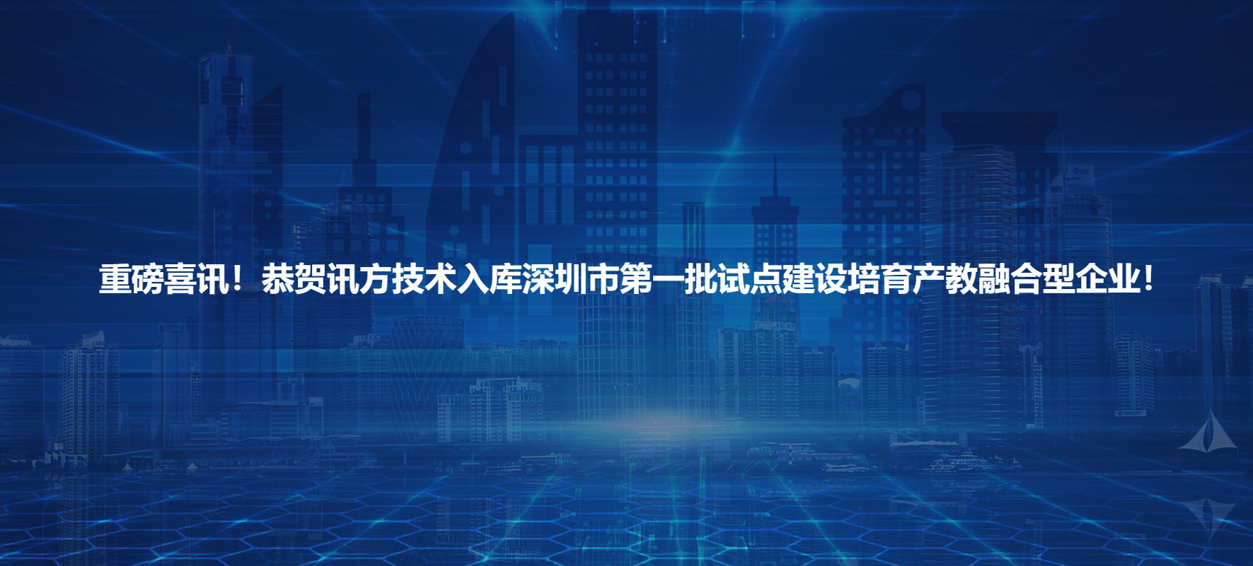 NLC电子(中国)集团