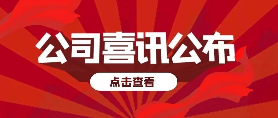 NLC电子(中国)集团