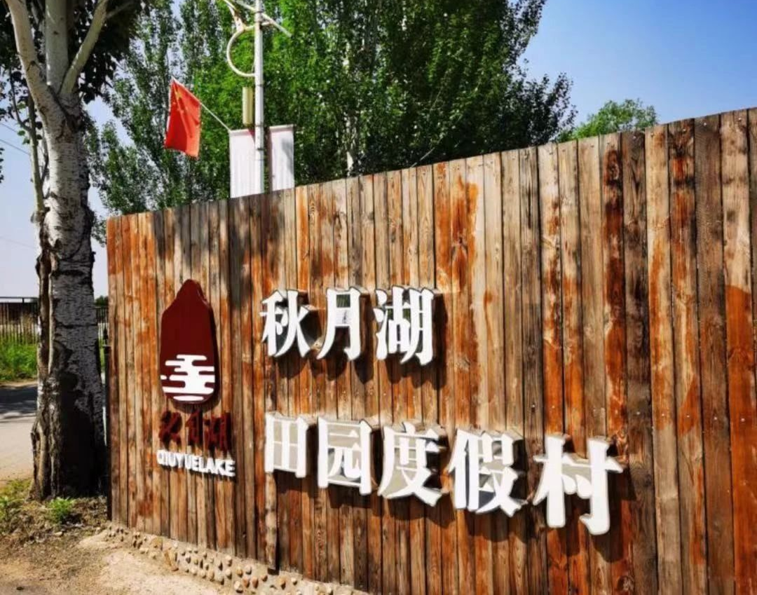 NLC电子(中国)集团