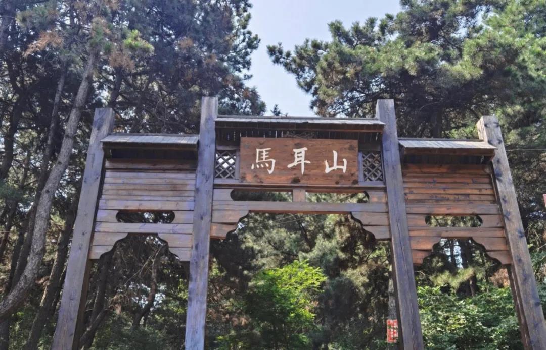 NLC电子(中国)集团