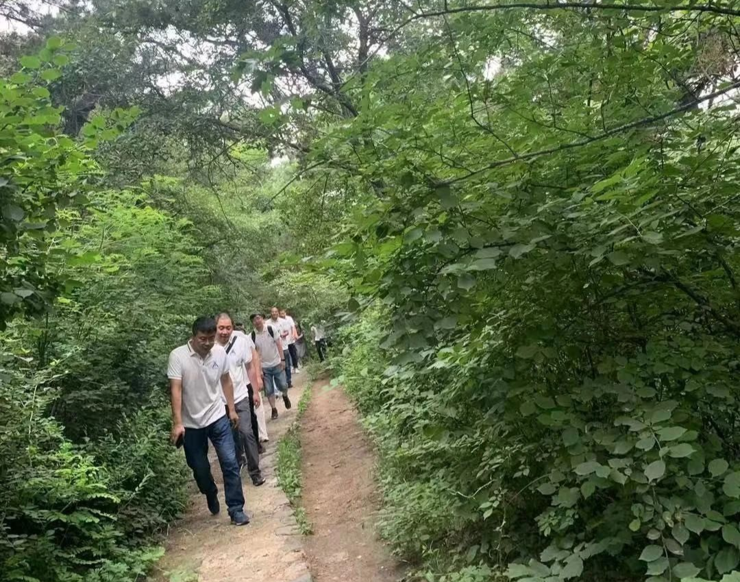 NLC电子(中国)集团