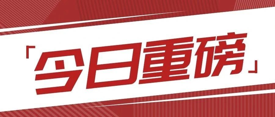 NLC电子(中国)集团