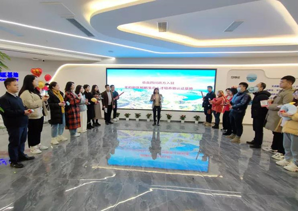 NLC电子(中国)集团