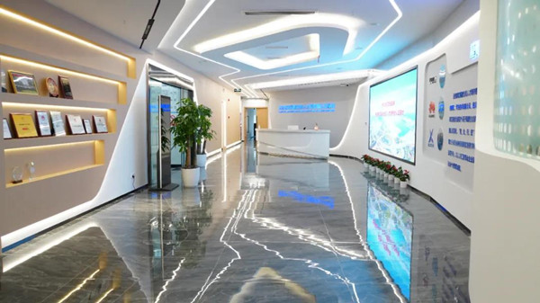 NLC电子(中国)集团