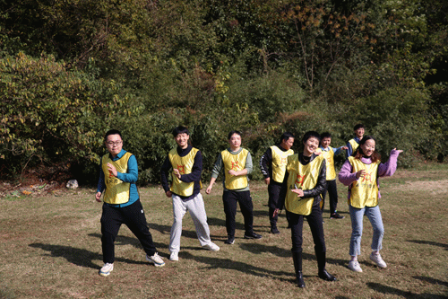 NLC电子(中国)集团