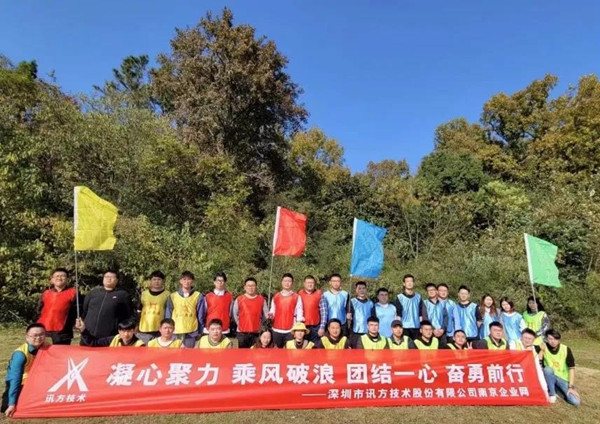 NLC电子(中国)集团