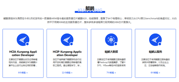 NLC电子(中国)集团