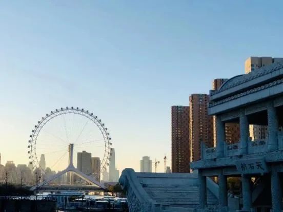 NLC电子(中国)集团