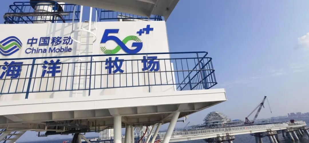 NLC电子(中国)集团
