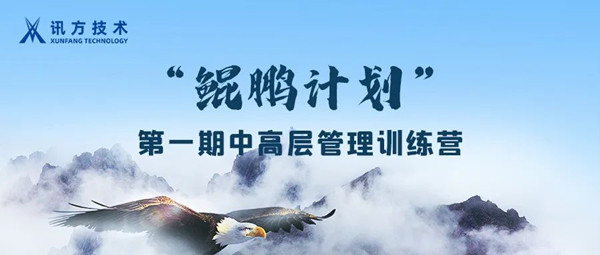NLC电子(中国)集团