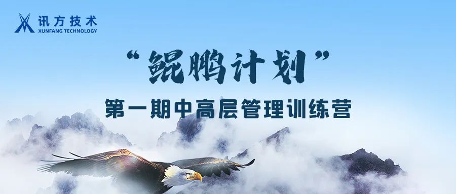 NLC电子(中国)集团