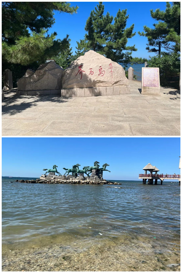 NLC电子(中国)集团