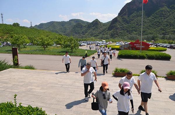NLC电子(中国)集团