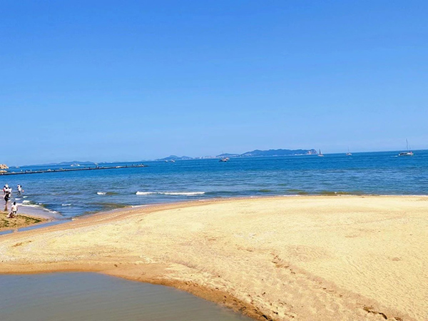 NLC电子(中国)集团