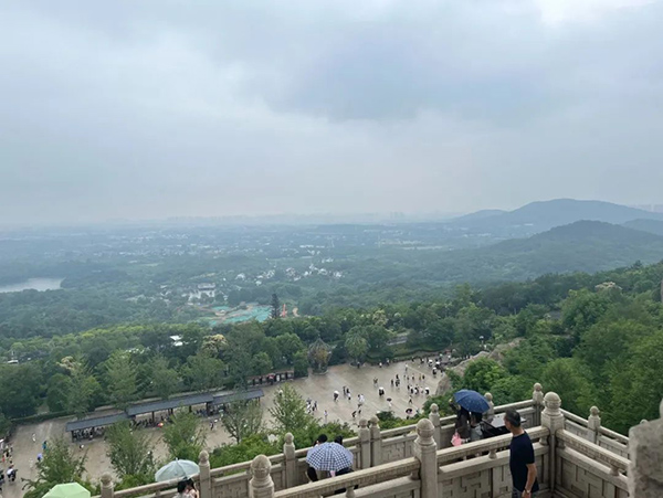NLC电子(中国)集团