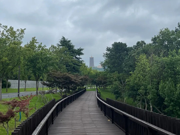 NLC电子(中国)集团