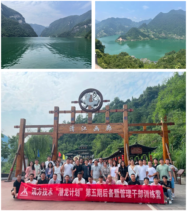 NLC电子(中国)集团
