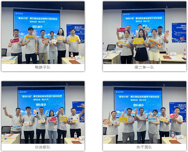 NLC电子(中国)集团