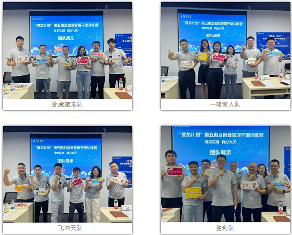 NLC电子(中国)集团