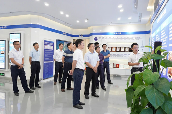 NLC电子(中国)集团