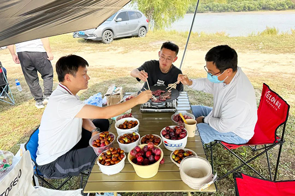NLC电子(中国)集团