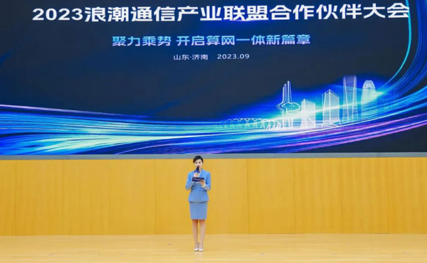 NLC电子(中国)集团