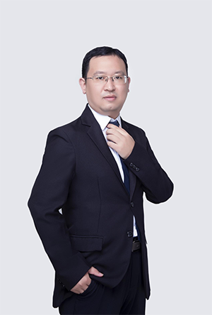 NLC电子(中国)集团