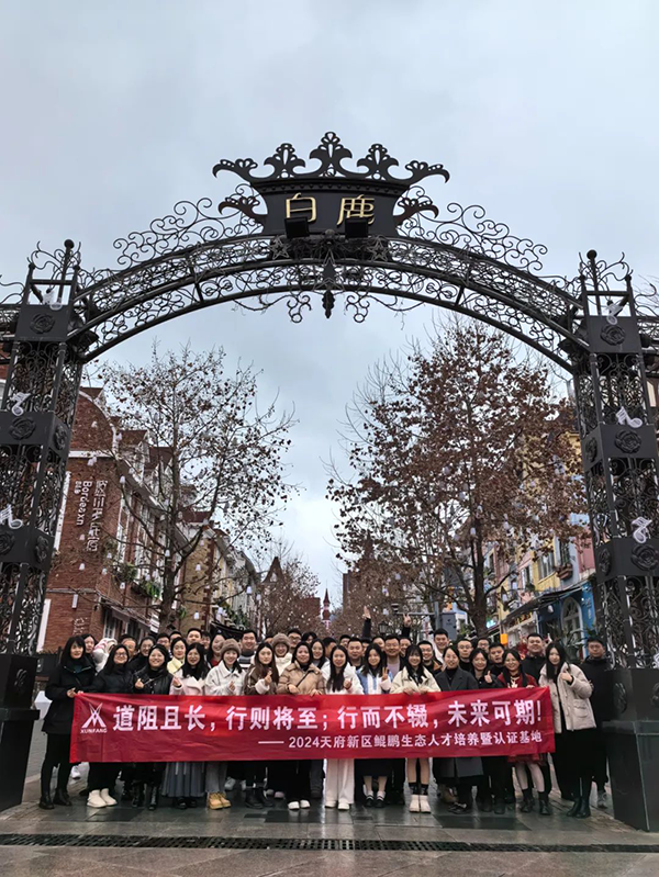 NLC电子(中国)集团
