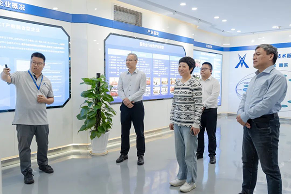 NLC电子(中国)集团