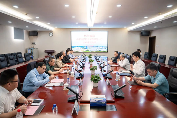 NLC电子(中国)集团