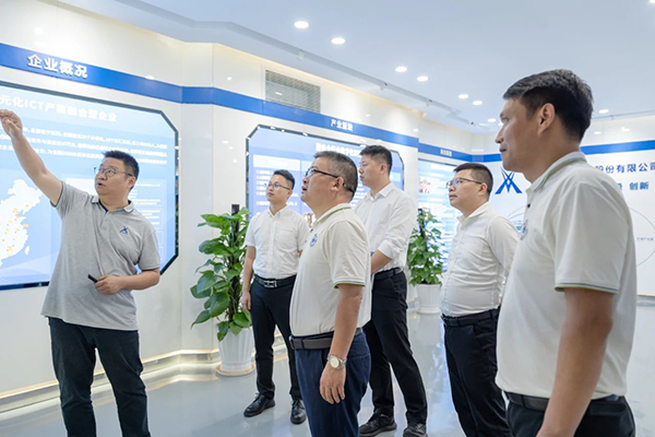 NLC电子(中国)集团