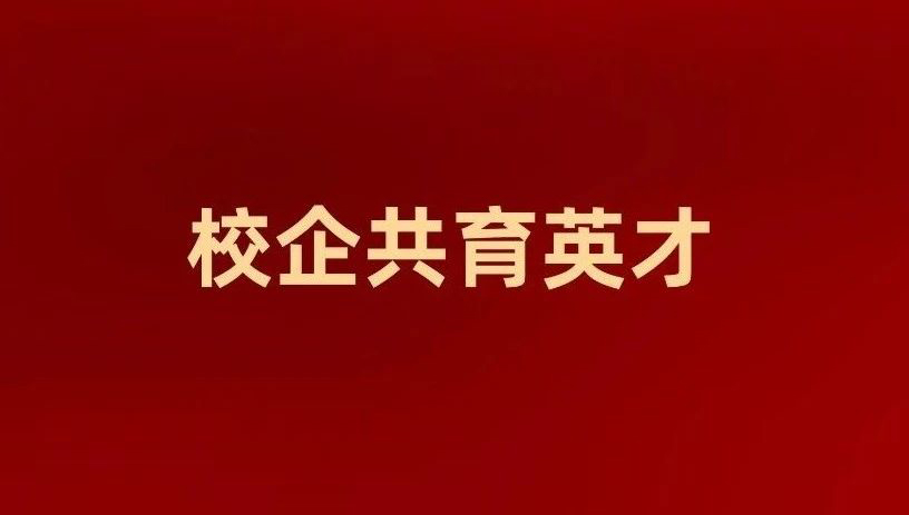 NLC电子(中国)集团