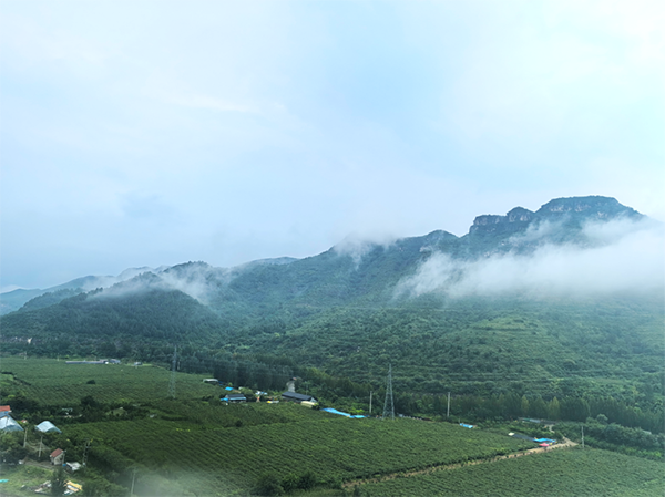 NLC电子(中国)集团
