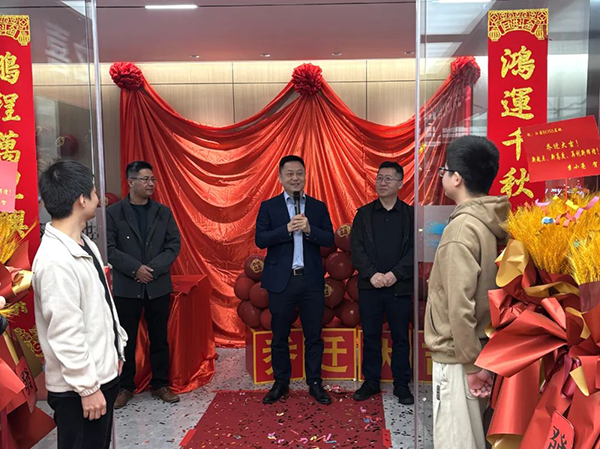 NLC电子(中国)集团