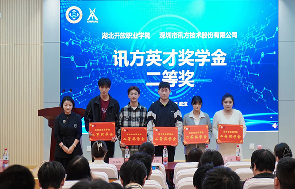 NLC电子(中国)集团
