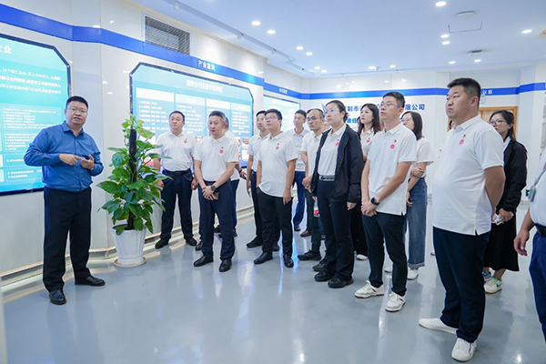 NLC电子(中国)集团