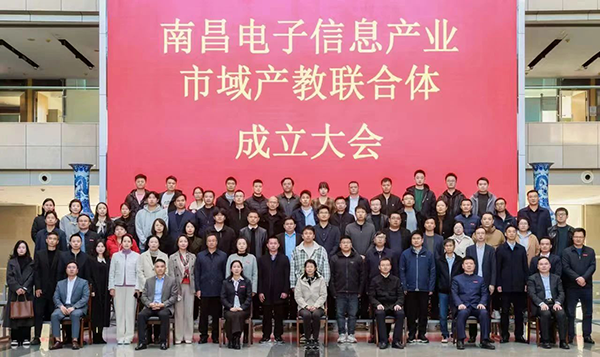 NLC电子(中国)集团