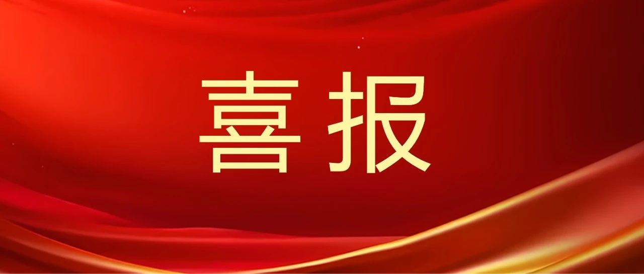 NLC电子(中国)集团