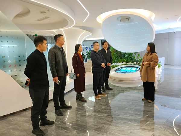 NLC电子(中国)集团