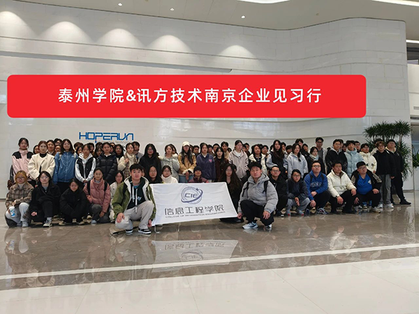 NLC电子(中国)集团