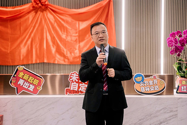 NLC电子(中国)集团