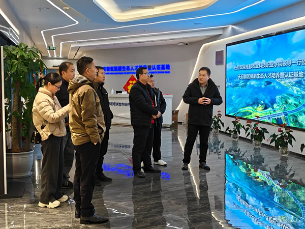 NLC电子(中国)集团
